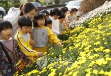 <카메라뉴스> 국화향 그윽한 옥천읍사무소