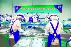 동원F&B 동원 양반 김장 투어
