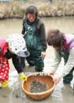 궁중 진상품, 강진옴천 토하잡아요