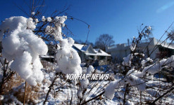 눈꽃에 뒤덮인 전원풍경