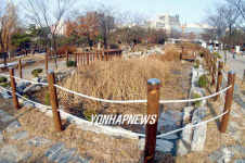 새 단장한 하남시청 생태연못