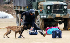 군견(軍犬) 시범 훈련