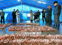 정자대게 드세요