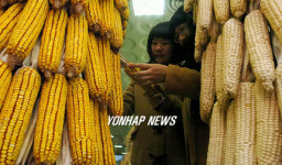 맛.영양 뛰어난 우리 잡곡