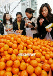 제주감귤 맛보세요