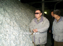 김정일, 목화 가공공장 시찰