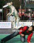 애완견의 비상