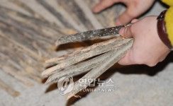 鄭 후보 선친 묘에서 나무 꼬챙이 35개 발견