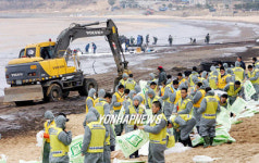 기름범벅된 만리포 해수욕장