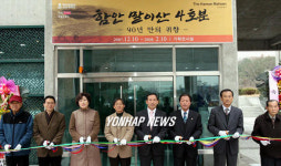 함안 말이산 4호분..90년만에 귀향