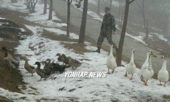 동물농장 `관심사병 정서함양에 좋아요