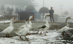 동물농장 `관심사병 정서함양에 좋아요