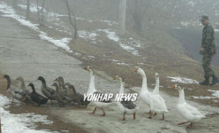 동물농장 `관심사병 정서함양에 좋아요