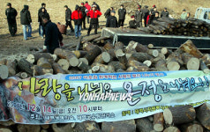 태백 사랑의 땔감 나누기
