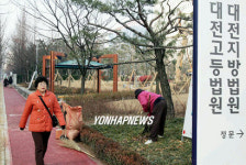 담 없앤 대전법원