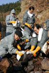 태안 복구 나선 대통합민주신당