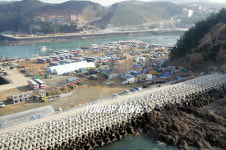 자원봉사 차량 가득한 모항항