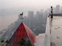 <새영화> 욕망을 경계하는 호기심이 고양이…