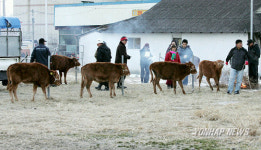 동해 북평장 쇠전 역사 속으로