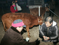 동해 북평장 쇠전 역사 속으로