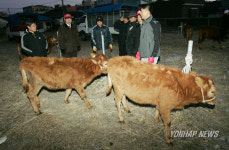 동해 북평장 쇠전 역사 속으로