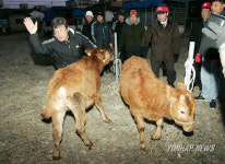 동해 북평장 쇠전 역사 속으로