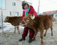 동해 북평장 쇠전 역사 속으로