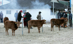 동해 북평장 쇠전 역사 속으로