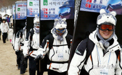 올해 태백 서학리조트 개장해요