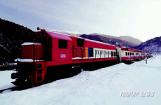 정선 기차펜션에서 추억 만드세요