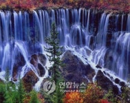 한.중사진교류전 내달 1-13일 대구서 열려