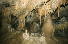 <평창 백룡동굴 생태체험장으로 개발된다>