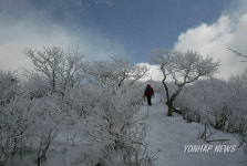 가는 겨울 아쉬운 계방산의 눈꽃