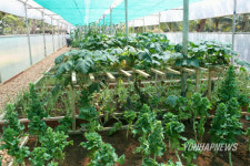 현대차 인도공장내 눈길끄는 정원과 농장