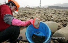 임진강 치어 구출 작전