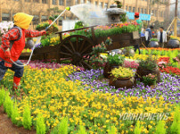 꽃 화단으로 탈바꿈한 구청 광장