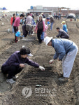 충남농협 주말농장 분양받으세요