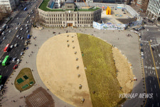 푸른 단장하는 시청 앞 광장