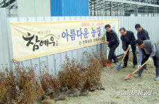 농장에 꽃 심는 전북농협