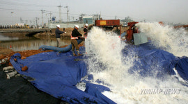 우예슬양 찾기 위한 군자천 물빼기작업