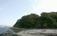 동해안의 유일한 상록수림 목도