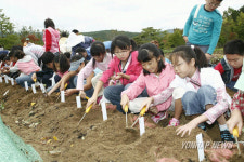 직접 심은 고구마여서 더 맛있을 거예요