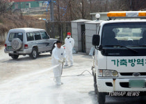 전북 김제 닭 사육농장서 AI 의심신고