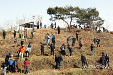 우리 강산 푸르게
