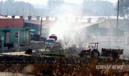 김제 의사 AI 농장 닭 방역