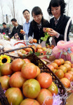 부산 대저 토마토 맛보세요