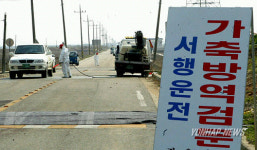 방역 강화된 정읍 영원 오리농장 인근