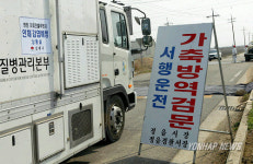 방역 강화된 정읍 영원 오리농장 인근