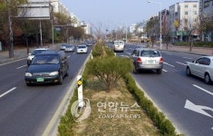 대전 도로는 변신중..중앙분리대 녹지조성