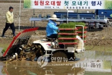  철원서 강원지역 첫 모내기